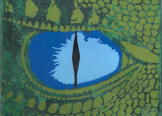 Dragon Eye Spray Paint Art Print